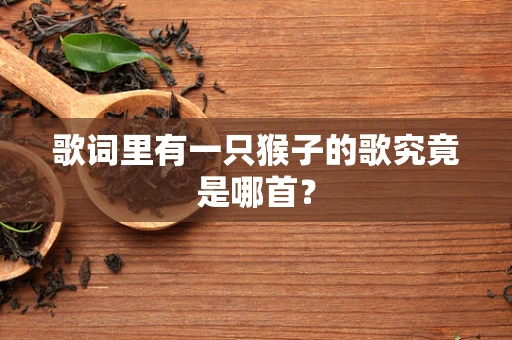 歌词里有一只猴子的歌究竟是哪首？