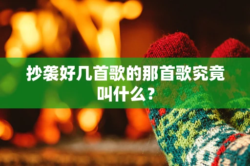 抄袭好几首歌的那首歌究竟叫什么？