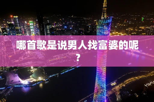 哪首歌是说男人找富婆的呢？