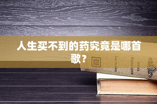 人生买不到的药究竟是哪首歌？