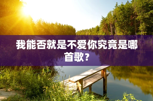我能否就是不爱你究竟是哪首歌？