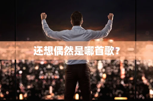 还想偶然是哪首歌？
