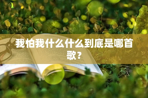 我怕我什么什么到底是哪首歌？