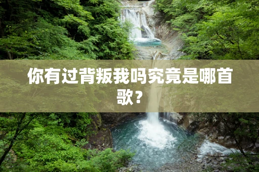 你有过背叛我吗究竟是哪首歌？