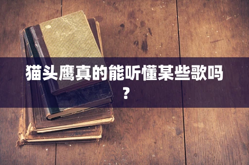 猫头鹰真的能听懂某些歌吗？