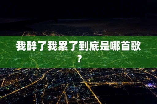 我醉了我累了到底是哪首歌？