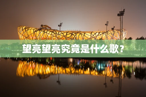 望亮望亮究竟是什么歌？