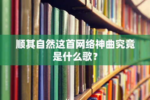顺其自然这首网络神曲究竟是什么歌？