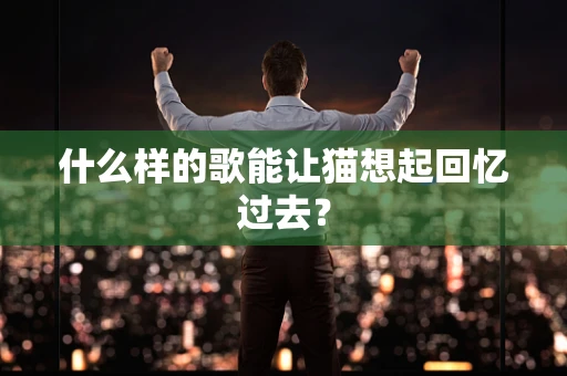 什么样的歌能让猫想起回忆过去？