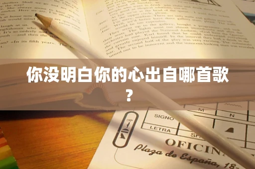 你没明白你的心出自哪首歌？
