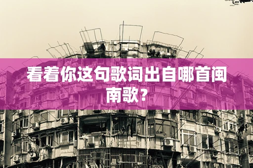 看着你这句歌词出自哪首闽南歌？
