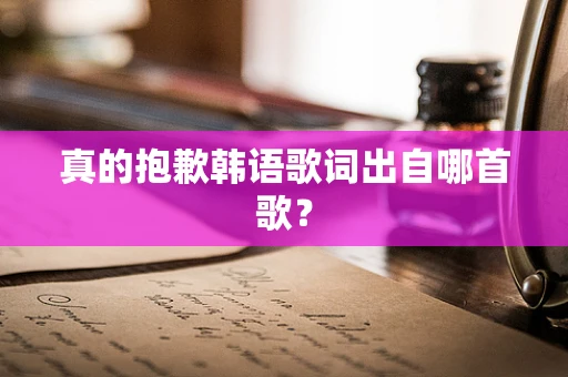 真的抱歉韩语歌词出自哪首歌？