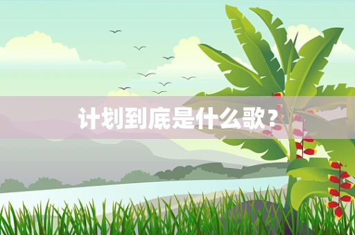 计划到底是什么歌？