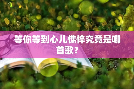 等你等到心儿憔悴究竟是哪首歌？