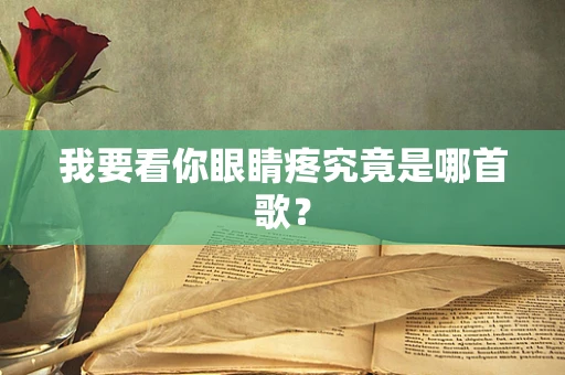 我要看你眼睛疼究竟是哪首歌？