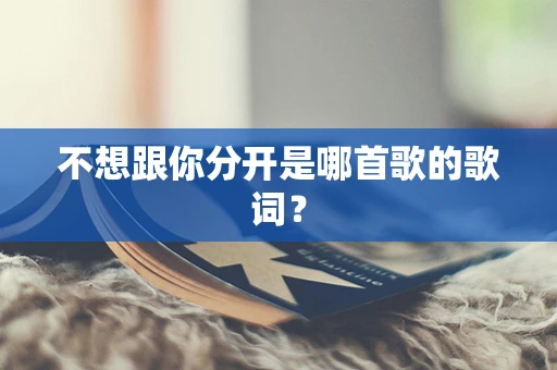 不想跟你分开是哪首歌的歌词？