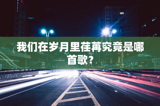 我们在岁月里荏苒究竟是哪首歌？