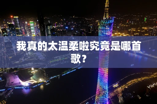 我真的太温柔啦究竟是哪首歌？