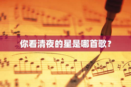 你看清夜的星是哪首歌？