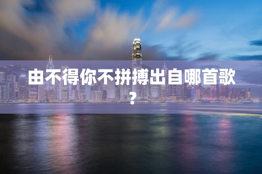由不得你不拼搏出自哪首歌？