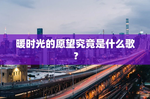 暖时光的愿望究竟是什么歌？