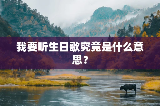 我要听生日歌究竟是什么意思？