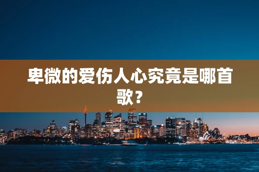卑微的爱伤人心究竟是哪首歌？
