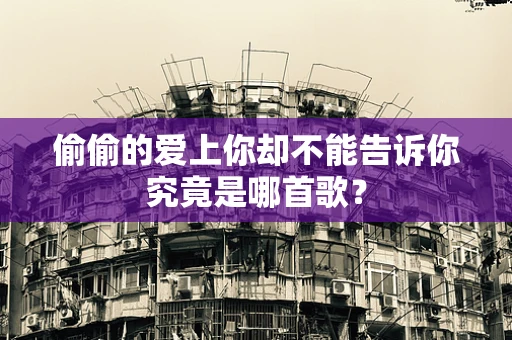 偷偷的爱上你却不能告诉你究竟是哪首歌？