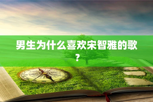 男生为什么喜欢宋智雅的歌？