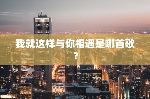 我就这样与你相遇是哪首歌？
