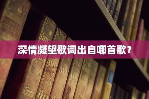 深情凝望歌词出自哪首歌？