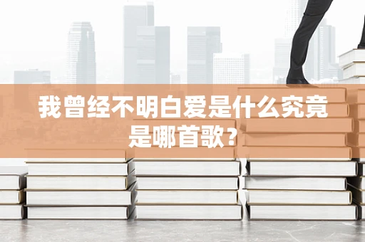 我曾经不明白爱是什么究竟是哪首歌？