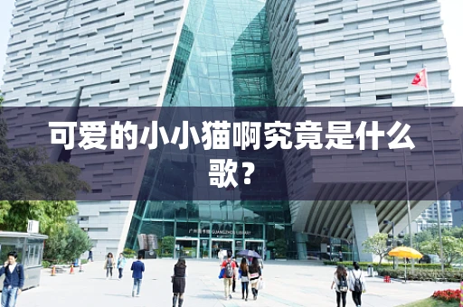 可爱的小小猫啊究竟是什么歌？