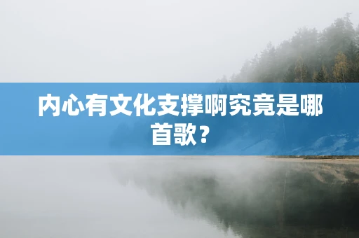 内心有文化支撑啊究竟是哪首歌？