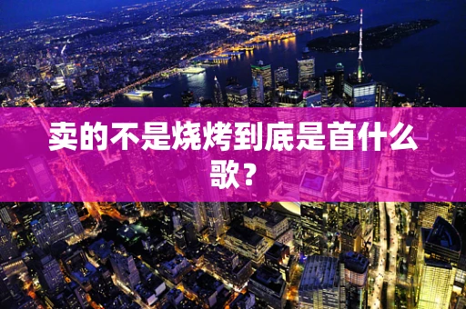 卖的不是烧烤到底是首什么歌？