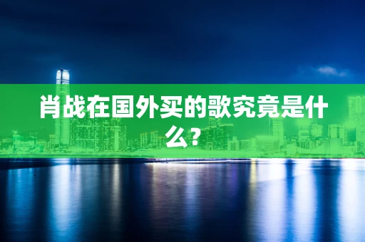 肖战在国外买的歌究竟是什么？