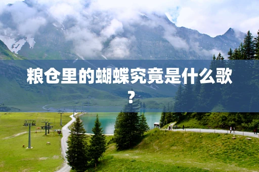 粮仓里的蝴蝶究竟是什么歌？