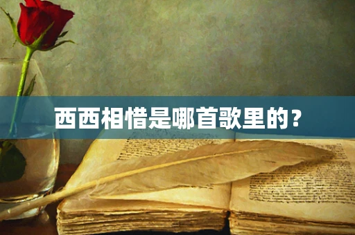 西西相惜是哪首歌里的？
