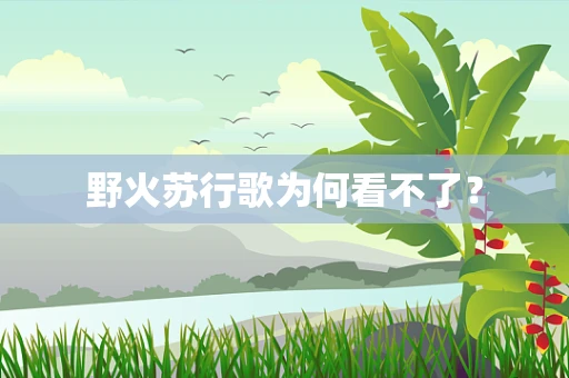 野火苏行歌为何看不了？