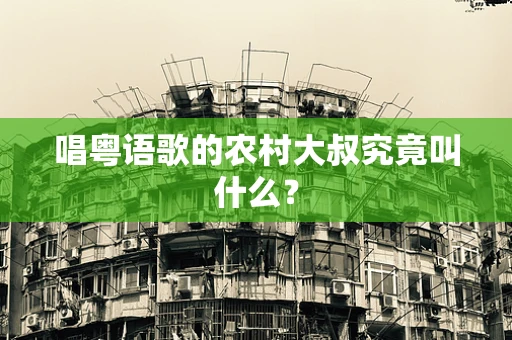 唱粤语歌的农村大叔究竟叫什么？
