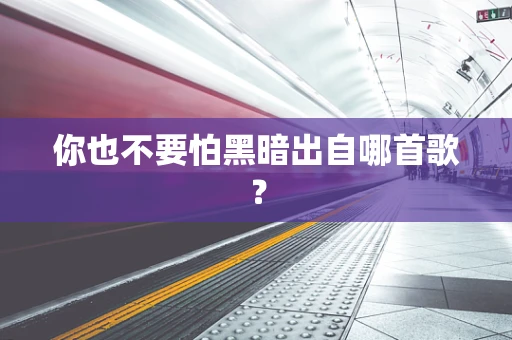 你也不要怕黑暗出自哪首歌？