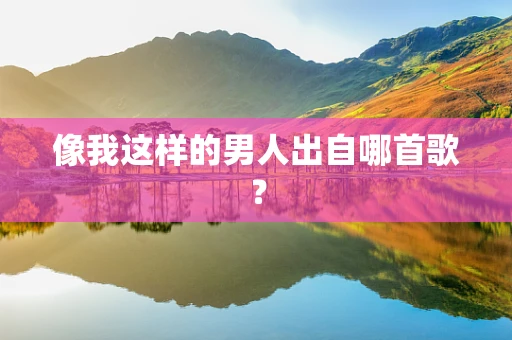 像我这样的男人出自哪首歌？