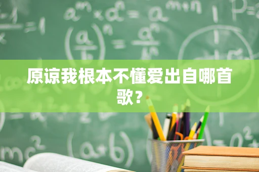原谅我根本不懂爱出自哪首歌？