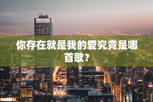 你存在就是我的爱究竟是哪首歌？
