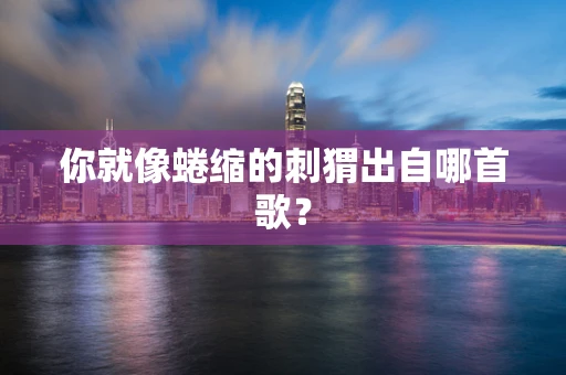 你就像蜷缩的刺猬出自哪首歌？