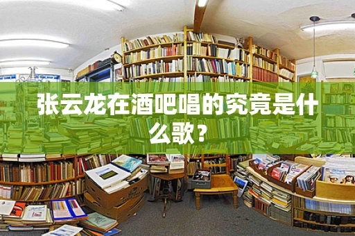张云龙在酒吧唱的究竟是什么歌？