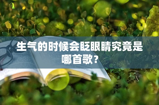 生气的时候会眨眼睛究竟是哪首歌？
