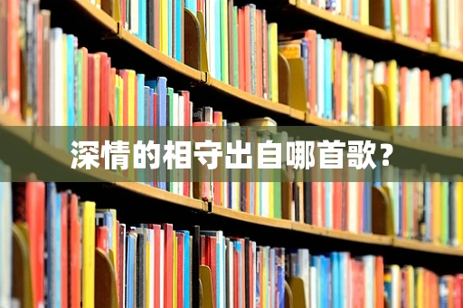 深情的相守出自哪首歌？