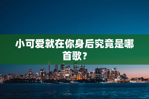 小可爱就在你身后究竟是哪首歌？