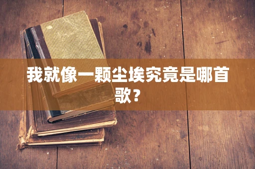 我就像一颗尘埃究竟是哪首歌？